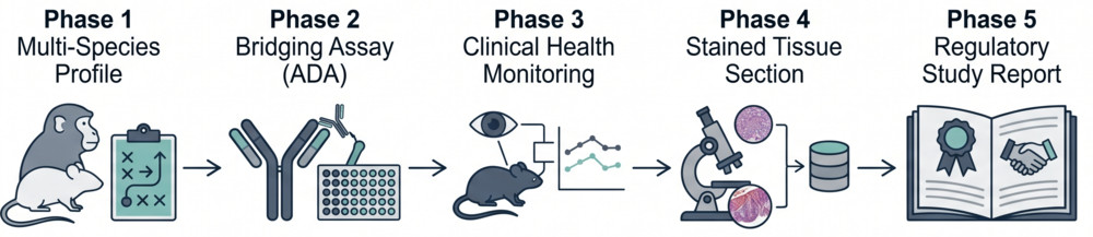 Integrated workflow for ADC pre-clinical safety assessment programs